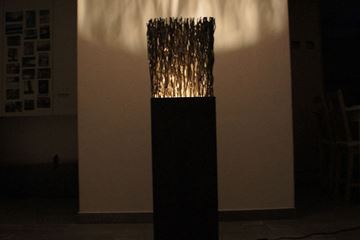 Bild von Drahtlicht