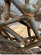 Bild von Drahtkugel-Lounge