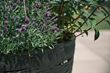 Design Pflanzkübel Circle Planter für Terrasse